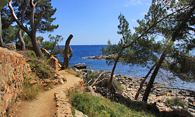 Cala S'Alguer, Palamós